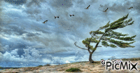 Gửi Gió - Darmowy animowany GIF