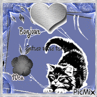 Bonjour les nchatons 动画 GIF