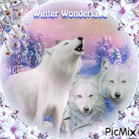 Lobos en invierno - Tonos azules y morados - Безплатен анимиран GIF