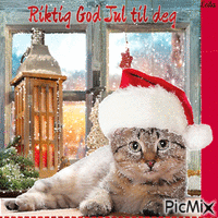 Merry Christmas to you. Cat