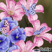 Fleurs & papillons - Free animated GIF