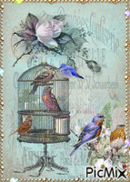 Cage aux oiseaux - Darmowy animowany GIF