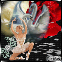 balet animovaný GIF