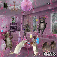 Rat House Party GIF animé