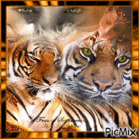 Tigres GIF animado