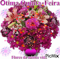 Ótima Quinta Feira - Bezmaksas animēts GIF
