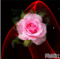 rose animuotas GIF