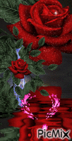 rose in love - Nemokamas animacinis gif