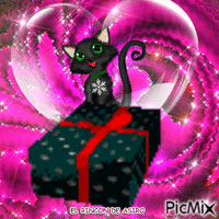 gato y regalo animovaný GIF