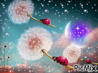 Ladybugs flying with Dandelions - Free animated GIF
