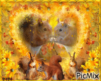 Deux amours d'écureuils animerad GIF