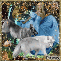 Woman and wolves