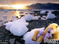 Alaska animovaný GIF