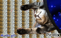gatito durmiendo - GIF เคลื่อนไหวฟรี