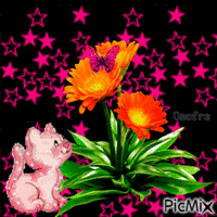 flores animuotas GIF