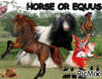 HORSE animuotas GIF
