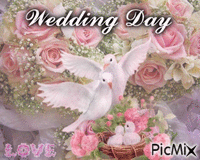 Wedding Day - Animovaný GIF zadarmo