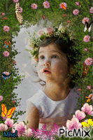 butterfly garden - GIF animé gratuit