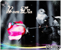 Bom Dia - Δωρεάν κινούμενο GIF
