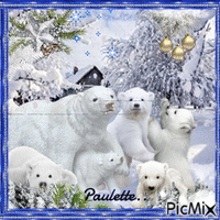 famille d'ours