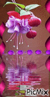 Rose et violet. - Free animated GIF
