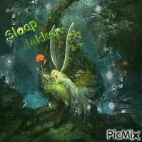 Slaap lekker - Бесплатный анимированный гифка
