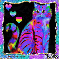 LGBT Pride e gato - GIF animé gratuit
