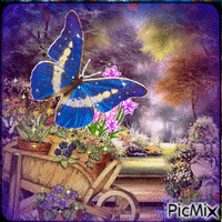 Papillon Bleu ! - Бесплатный анимированный гифка