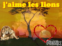jaime les lions car ces gentil - Бесплатни анимирани ГИФ