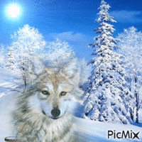 lobo - GIF animado gratis