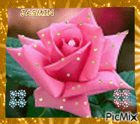 mi rosa primorosa - GIF animate gratis