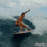 Surf - Бесплатный анимированный гифка