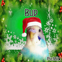 Christmas with Bud - GIF animasi gratis