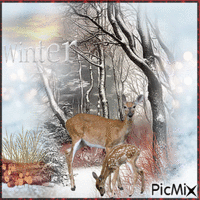 Winter im Wald - 無料のアニメーション GIF