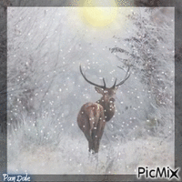 Deer in Snow animēts GIF