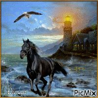 Mar y caballo con estilo - GIF animado gratis