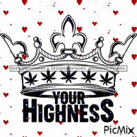 your highness