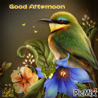 Good Afternoon 动画 GIF