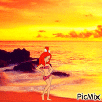 Pebbles and sunset at beach GIF animado