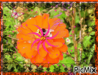 fleur moulin - Darmowy animowany GIF