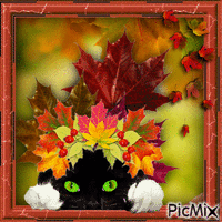 autumn )) ))) animovaný GIF