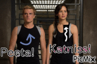 Hunger Games! - Free animated GIF