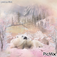 Ours blancs par BBM GIF animé