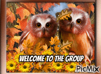welcome owl анимированный гифка