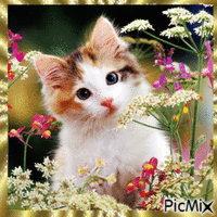 Chat mignon avec des Fleurs