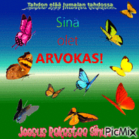 Sun elämä on Arvokas! - Free animated GIF
