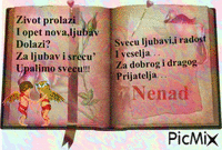 nenad jankovic - GIF animado gratis