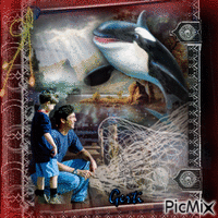 Free Willy Animated GIF
