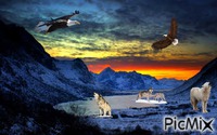 wolves w/ eagles - GIF animado gratis
