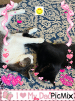 i <3 my daughters アニメーションGIF